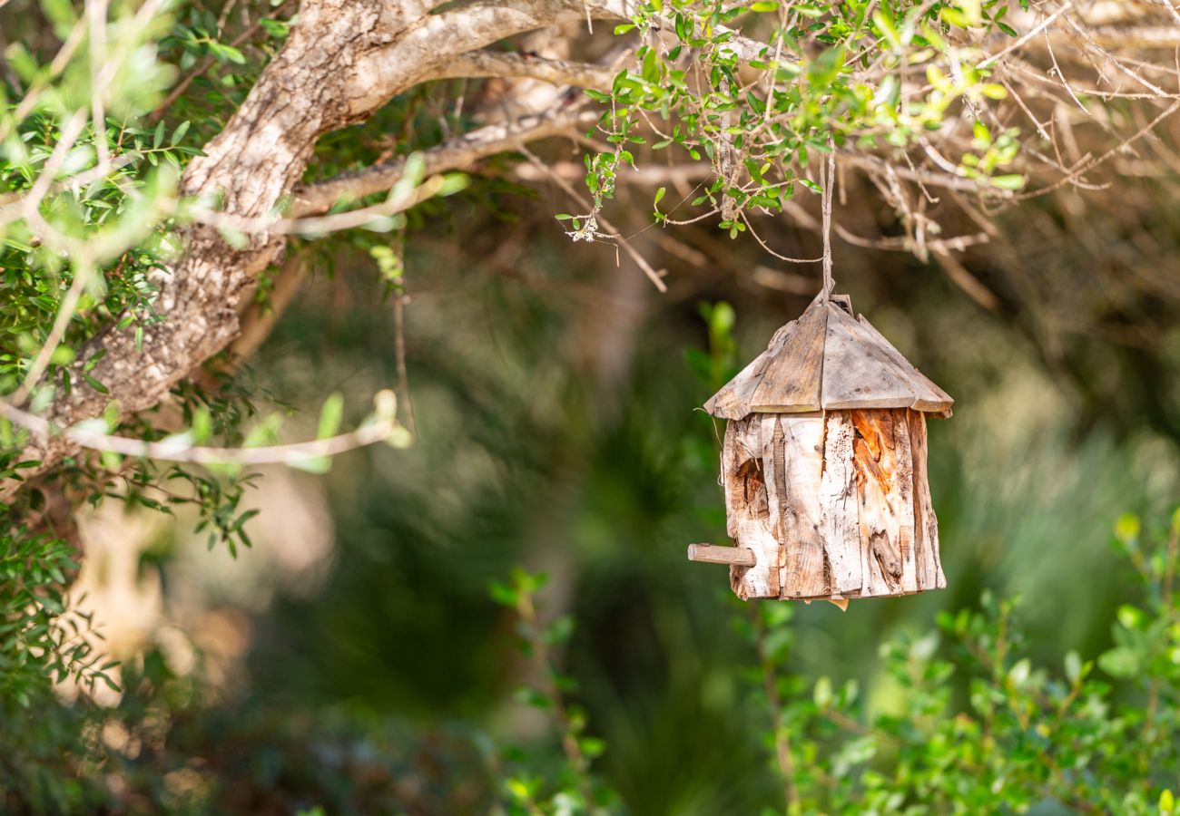 House in Felanitx - Finca Binifarda by Mallorca House Rent