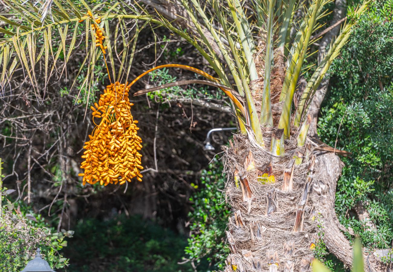 House in Felanitx - Finca Binifarda by Mallorca House Rent