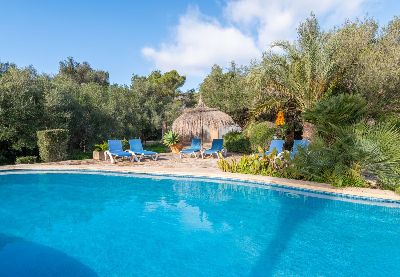 House in Felanitx - Finca Binifarda by Mallorca House Rent