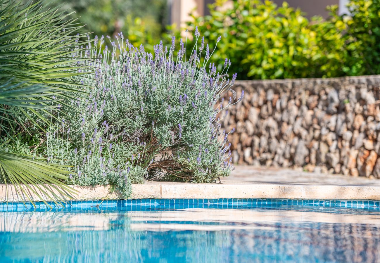 House in Felanitx - Finca Binifarda by Mallorca House Rent