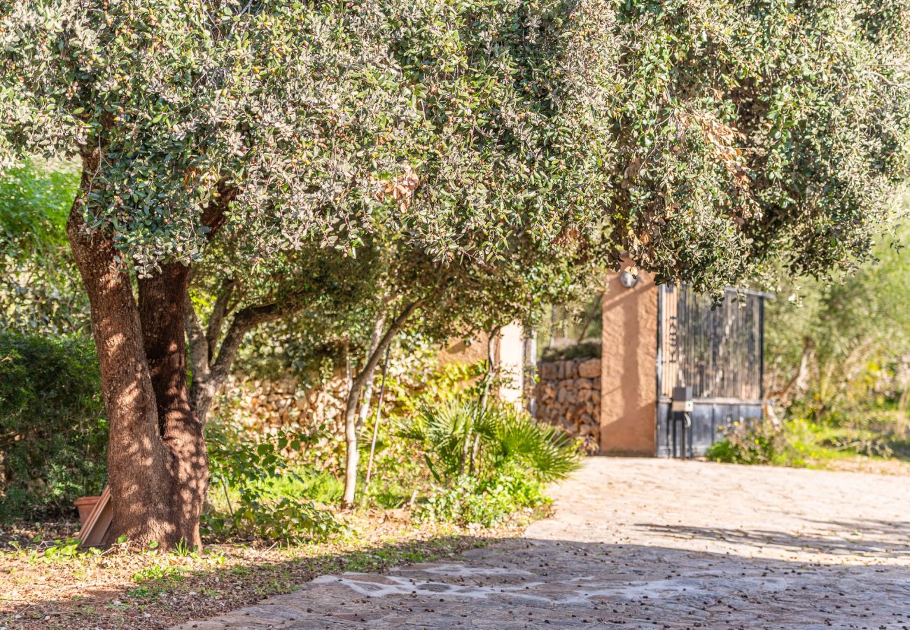 House in Felanitx - Finca Binifarda by Mallorca House Rent