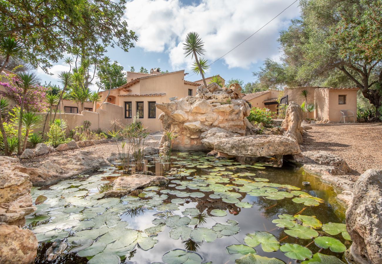 Country house in S´Alqueria Blanca - Finca en S`Alqueria Blanca con ETV