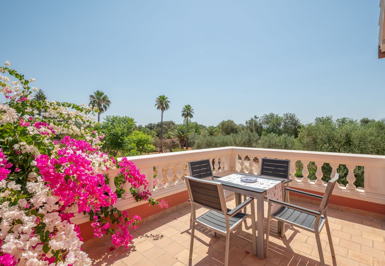 Country house in Felanitx - Finca con ETV en Felanitx
